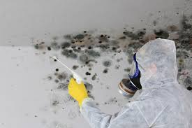 Mold Removal for HVAC Installations in Walnutport, PA